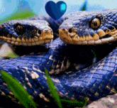 Snakes In Love GIF - Snakes In Love GIFs