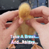 break ducks