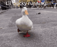 Lil Ducky GIF - Lil Ducky GIFs