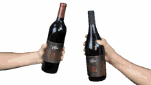 capo cagna wine leah vandale chardonnay cabernet