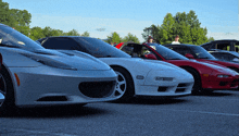 a row of sports cars are parked in a parking lot with trees in the background