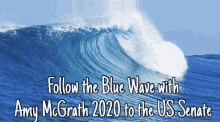 Amy Mc Grath Follow The Blue Wave GIF - Amy Mc Grath Follow The Blue Wave Waves GIFs