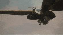 a moth is flying through the air with its wings outstretched