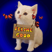 Feeling Good Feline Good GIF - Feeling Good Feline Good Cute Kitten GIFs