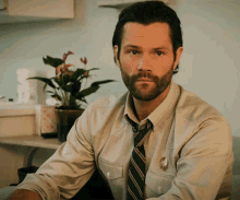 a man with a beard wearing a tie and a button on his shirt looks at the camera