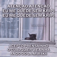 a cat looking out of a window with a caption that says " atencionao "
