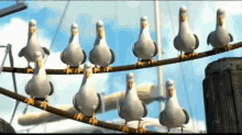 Mine GIF - Finding Nemo Mine Seagull GIFs