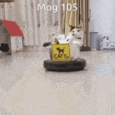 Mog Mog 105 GIF - Mog Mog 105 105 GIFs