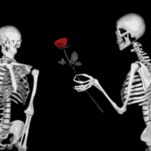 Rose Skeleton GIF - Rose Skeleton Flowers For You GIFs