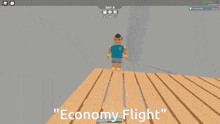Economy Flight Plane GIF