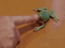 Frog Finger GIF
