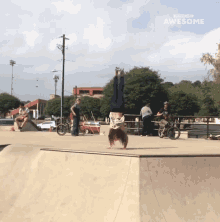 Roller Skating People Are Awesome GIF - Roller Skating People Are Awesome Stunt GIFs
