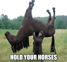 a man is holding a horse upside down in a field with the caption " hold your horses "