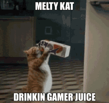 Melty Kat Drinkin Gamer Juice GIF