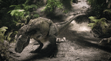 Dinosaur Revolution Dinotasia GIF - Dinosaur Revolution Dinotasia T Rex GIFs