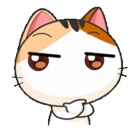 a calico cat with a serious look on his face