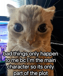 a cat says bad things only happen to me bc i 'm the main character