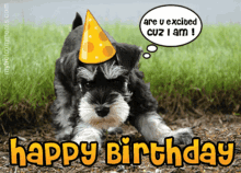 Dog Birthday GIF - Dog Birthday GIFs