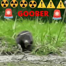 Goober Mole GIF - Goober Mole Goofy Goober GIFs