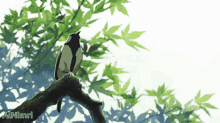 anime rain bird tree calm
