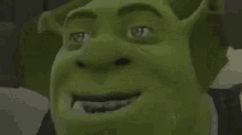 Oh No Shrek GIF - Oh No Shrek Happy GIFs