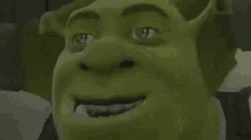 Shrek Shocked GIF - Shrek Shocked OhNo - Discover & Share GIFs