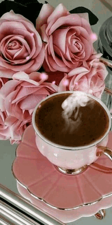 Pink Flower With Tea Pinks GIF - Pink Flower With Tea Pinks Bunch Of Pinks GIFs