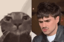 a man is making a funny face next to a picture of a cat .