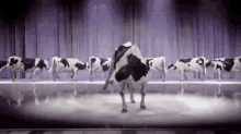 Dancing Cow Cow GIF - Dancing Cow Cow Moo GIFs