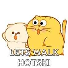 Cats Brisk Walking GIF - Cats Brisk Walking Exercise GIFs