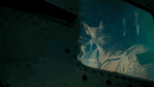 Helicopter Seal Team GIF - Helicopter Seal Team Jason Hayes GIFs