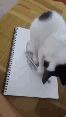 Painter Cat GIF - Painter Cat GIFs