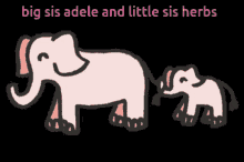 Big Sis Adele Adele And Herbs GIF - Big Sis Adele Adele And Herbs GIFs