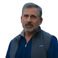 a man with a beard wears a patagonia vest and a blue shirt