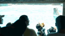 Backstroke GIF - Polar Bear Swimming Backstroke GIFs