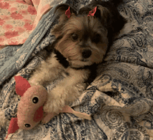 Puppy Play Time Good Morning Cutie Pie GIF - Puppy Play Time Good Morning Cutie Pie GIFs