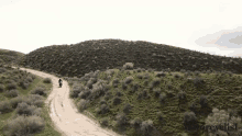 Downhill Sprint GIF - Downhill Sprint Off He Goes GIFs