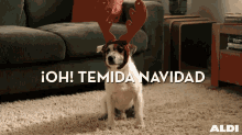 Feliz Navidad  Temida Navidad GIF - Feliz Navidad Dog Rudolph GIFs
