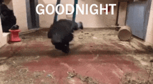Goodnight Gorilla Gorilla Spin GIF - Goodnight Gorilla Gorilla Spin GIFs