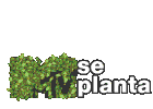 Se Planta Plantado Sticker - Se Planta Plantado Arbusto Stickers