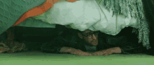 Hiding Sneaky GIF - Hiding Sneaky Under The Bed GIFs