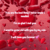 a pink background with red hearts and the words " you are the best thing i never knew i needed " on top