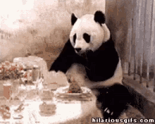 fancy panda fancypanda fancy restaurant shock