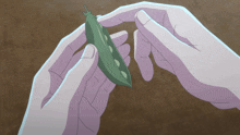 a person is holding a green peas pod in their hand