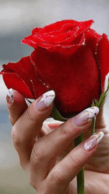 Rose Flower GIF - Rose Flower Nails GIFs