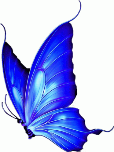 Mariposa Sticker - Mariposa - Discover & Share GIFs