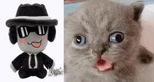 a stuffed animal with a hat and headphones next to a cat