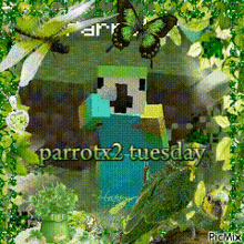 Parrotx2 Lifestealsmp GIF