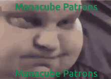 Manacube Patrons GIF - Manacube Patrons Manacube Patrons GIFs