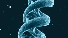 Dna Up Close GIF - Up Close Dna Science GIFs